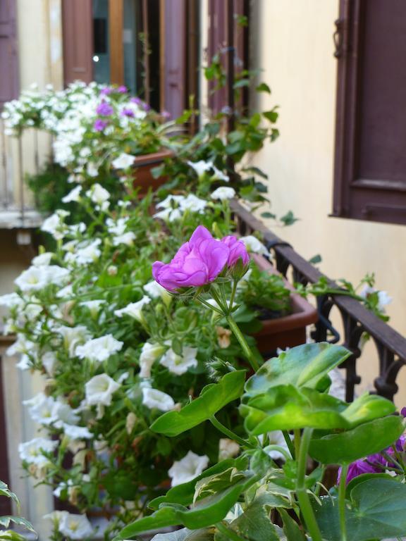 Protezione Della Giovane - Female Hostel Verona Luaran gambar
